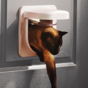PetPorte SmartFlap Mikrochip Katzenklappe Weiß